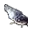 Catfish